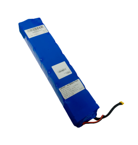 BATERÍA YOUIN FTP3608C9