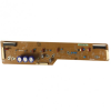 PLACA XSUS LJ41-10182A SAMSUNG PS51E450A1W