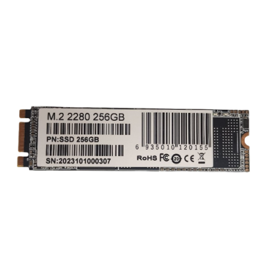 TARJETA SSD M.2 2280 256GB PORTATIL WOZIFAN W8